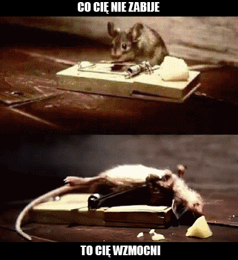 Co cię nie zabije, to cię wzmocni!