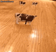 UFO zarejestrowane kamerą