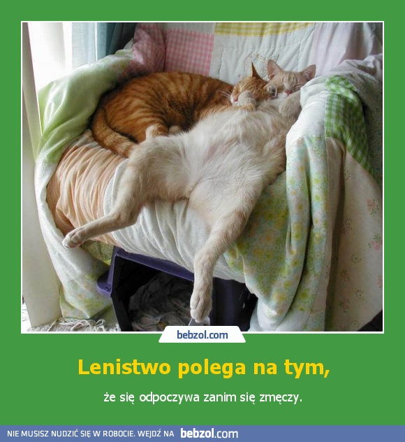 Lenistwo polega na tym, że