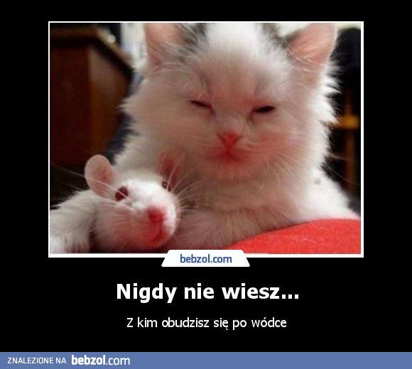 Nigdy nie wiesz...