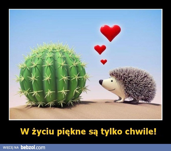 W życiu piękne są tylko chwile!