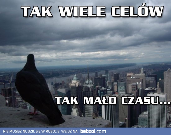 Gołębie rozmyślania