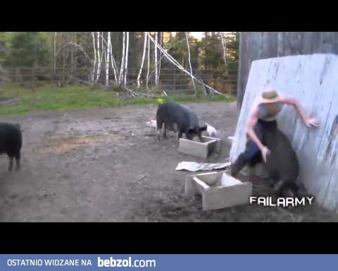 Prosto z Polski - styczeń 2014