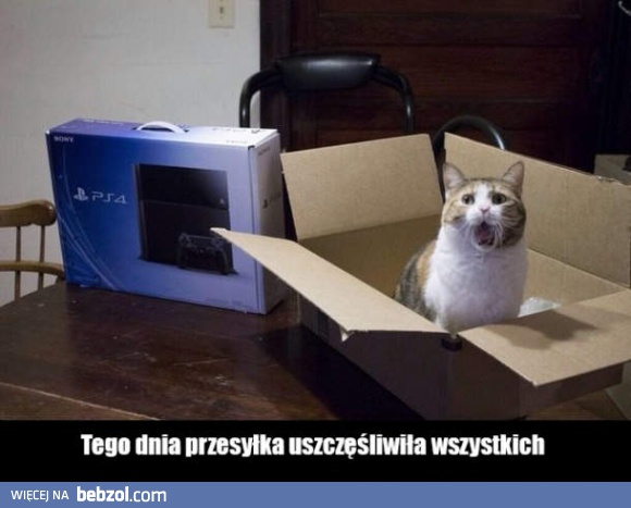 I wszyscy zadowoleni