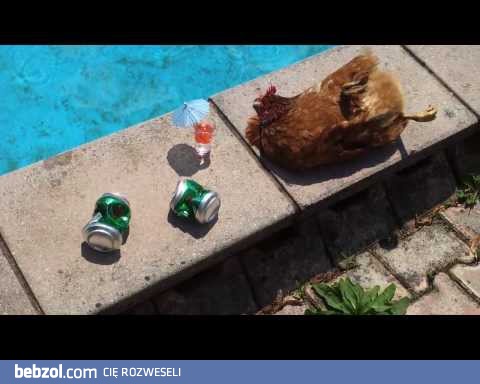 Kurza impreza w Słowenii