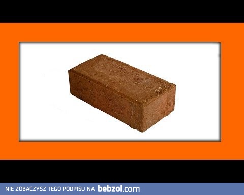 Ewolucja komórek - Polimaty