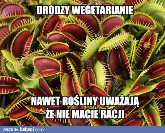 Drodzy wegetarianie