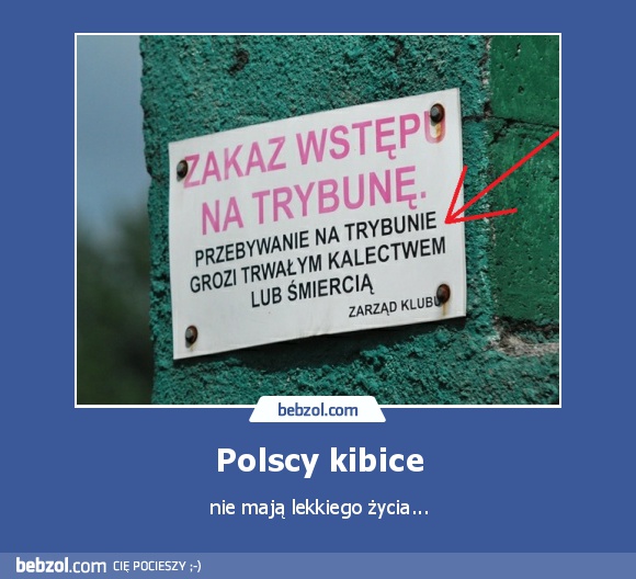 Polscy kibice