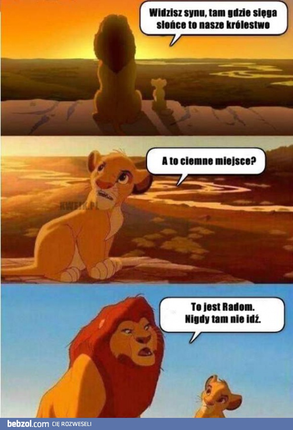 Simba w Polsce