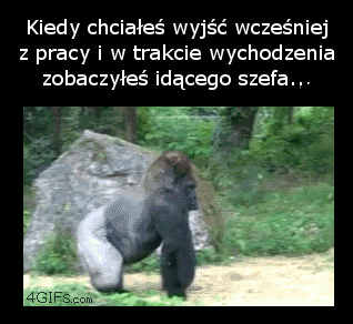 Kiedy chcesz wcześniej wyjść...