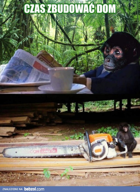 Czas zbudować dom