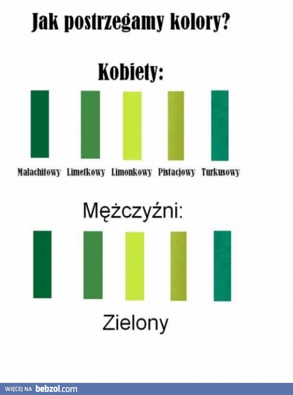 Kolorowy świat