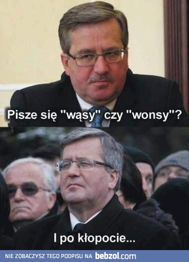 Wąsy czy wonsy?