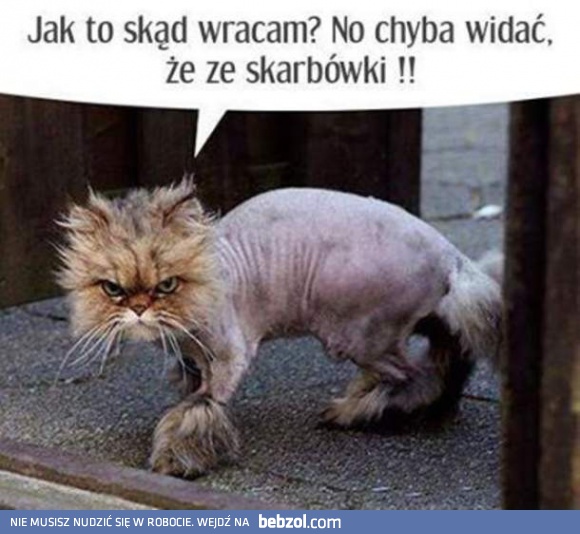 Jak to skąd wracam?