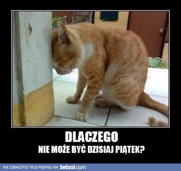 Dlaczego?!