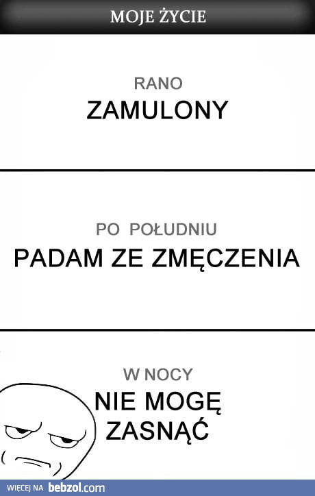 Dzień z życia...