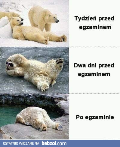 Ktoś jeszcze ma jakieś egzaminy?