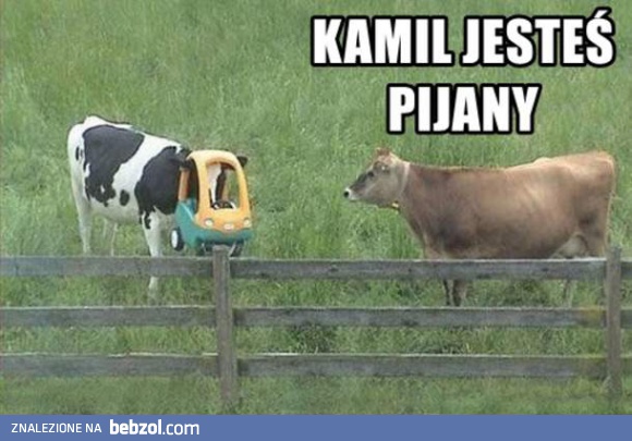 Kamil, idźże spać