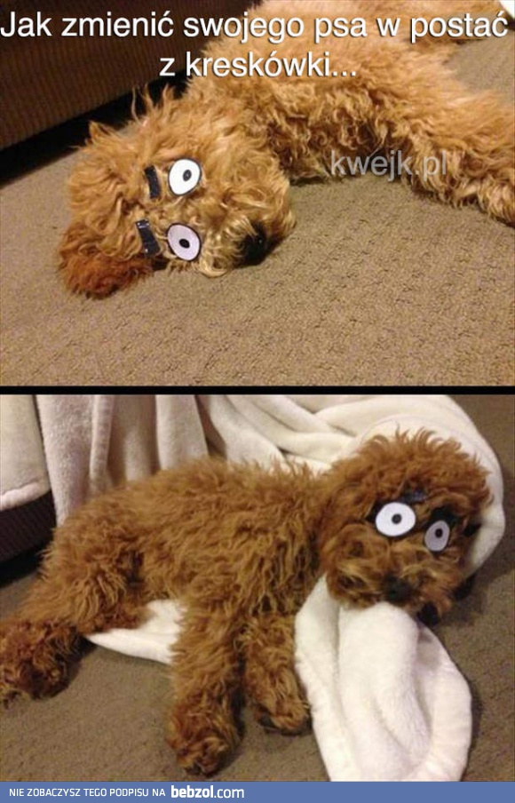 Jak zmienić psa w postać z kreskówki