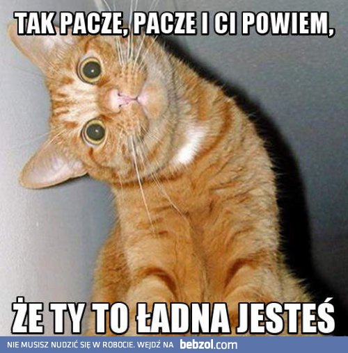 Tak pacze i pacze