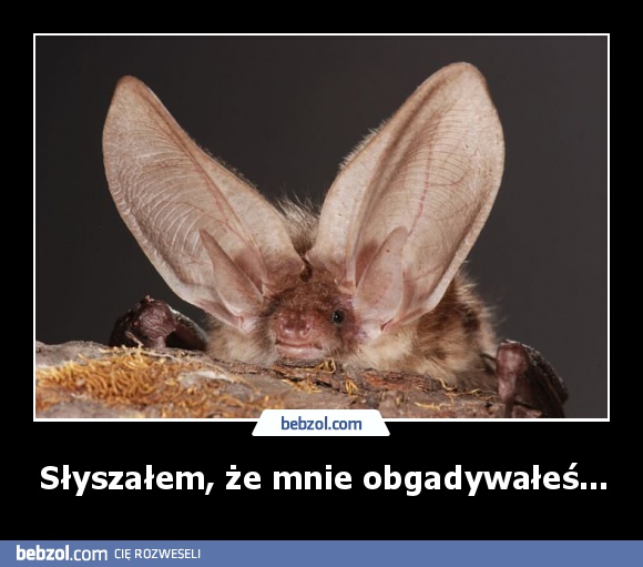 Słyszałem, że mnie obgadywałeś...