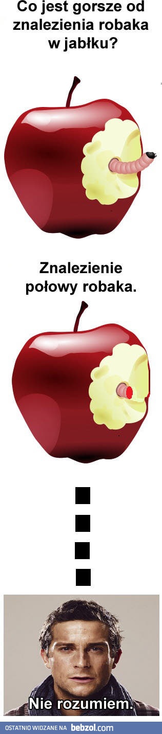 Wkładka z białka