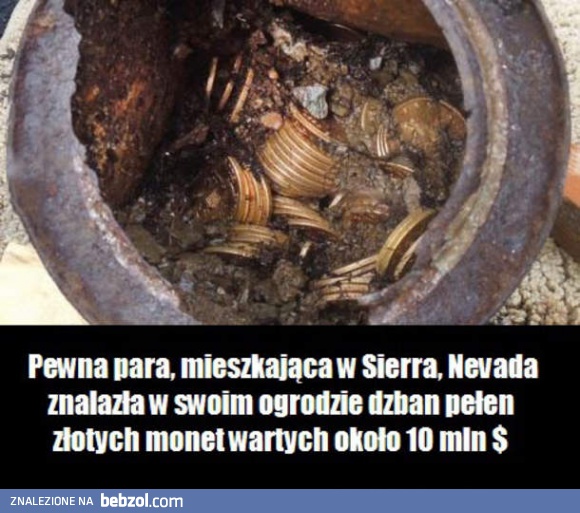 Nietypowe znalezisko