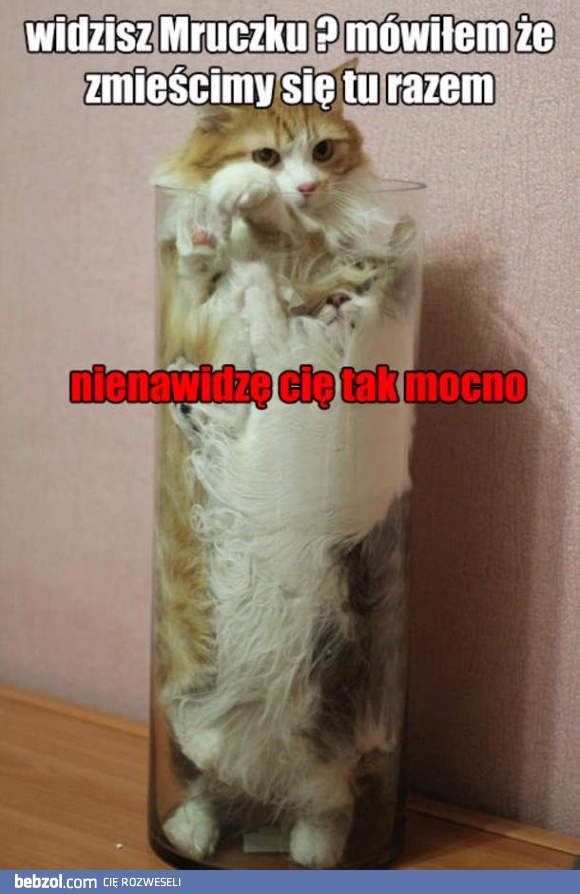 Mówiłem, że się uda!