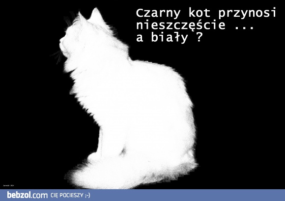 Jak to z tym szczęściem jest ?