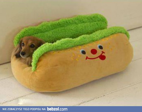 Hot-dog