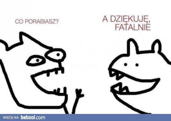 Co porabiasz?