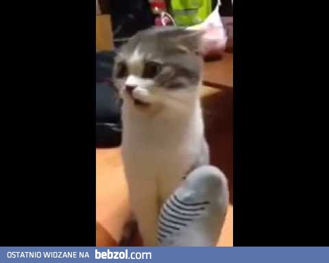 Czas na zmianę skarpet