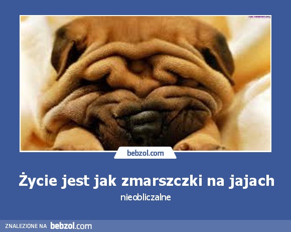 Życie jest jak zmarszczki na jajach