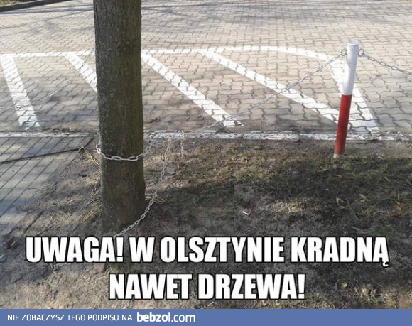Zuchwali złoczyńcy w Olsztynie