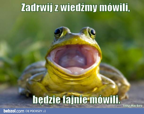 Nigdy nie drwij z wiedźmy