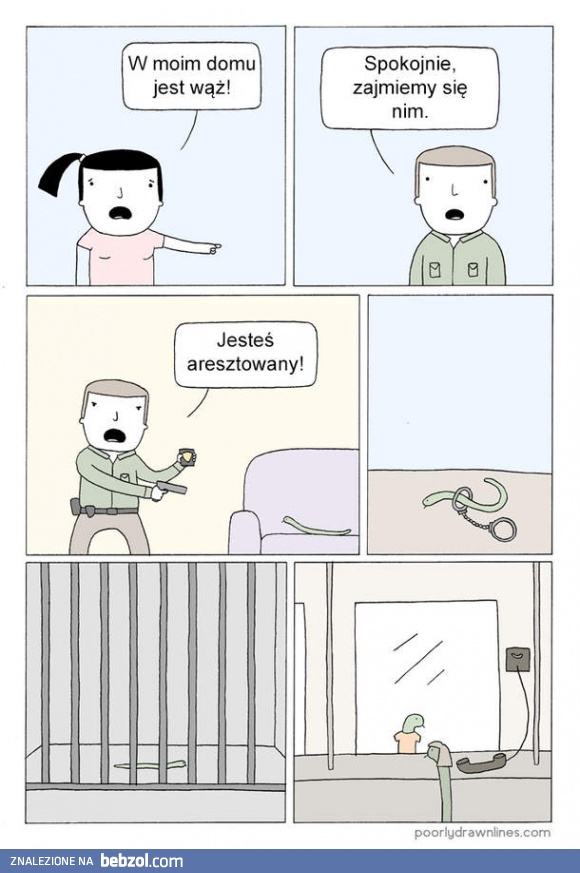 Wąż w domu