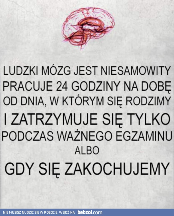 Ludzki mózg jest niesamowity