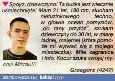 Tygrysek szuka swojego kotka