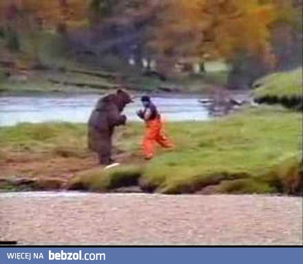 Zacięta walka z niedźwiedziem