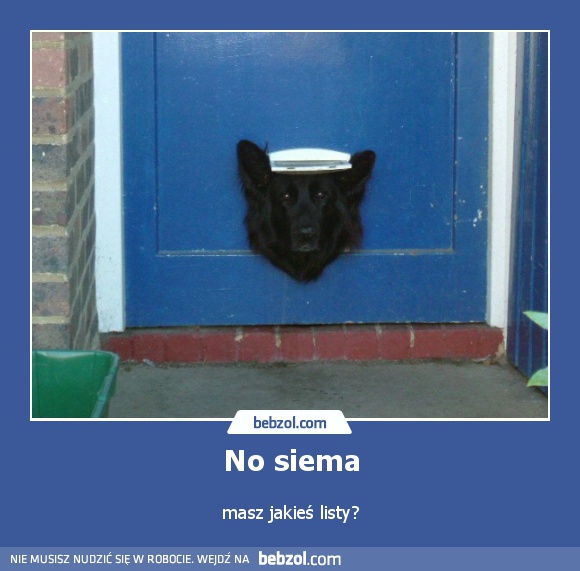 No siema