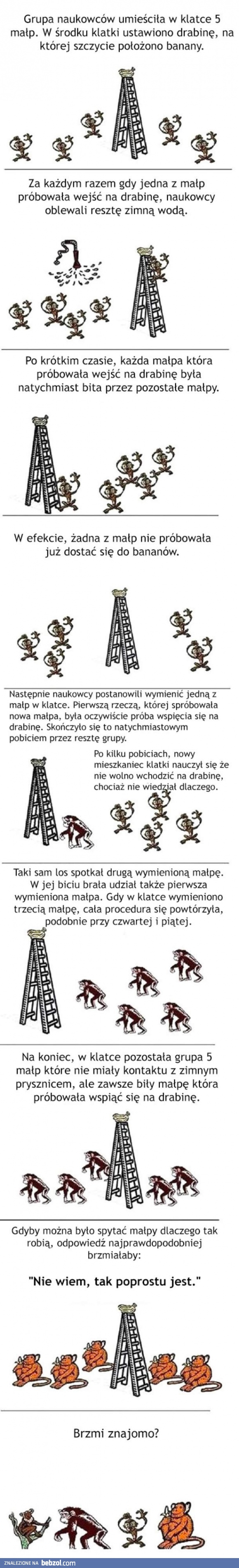 Wygląda znajomo?