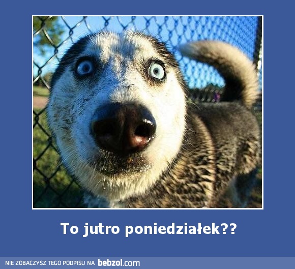 To jutro poniedziałek??