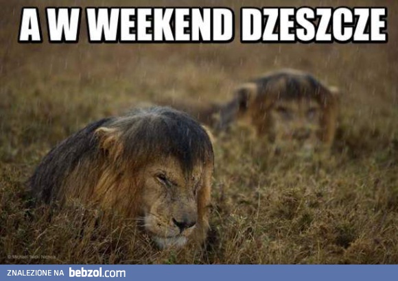 Deszczowy weekendzik