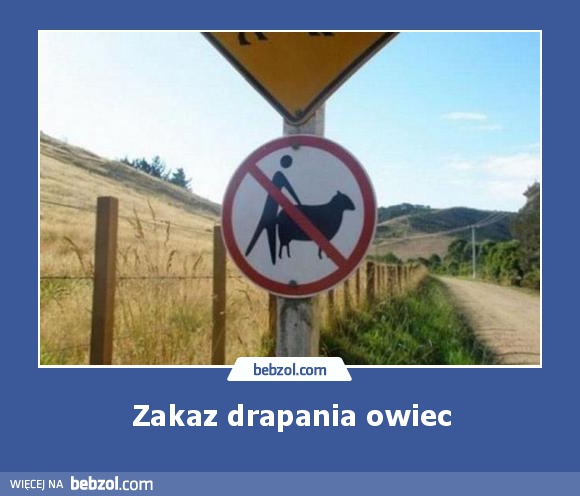 Zakaz drapania owiec