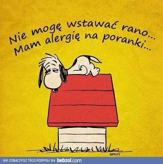 Każdego dnia to samo