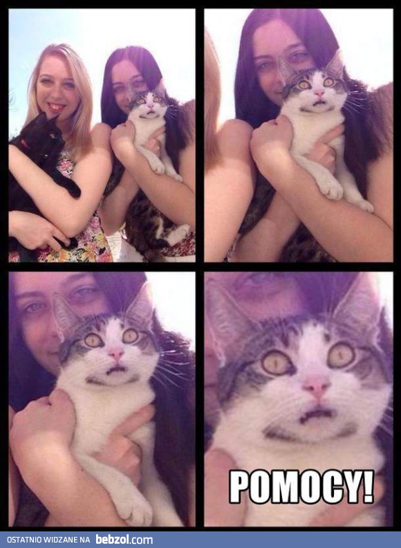 Zrobimy Ci kokardki i ubierzemy