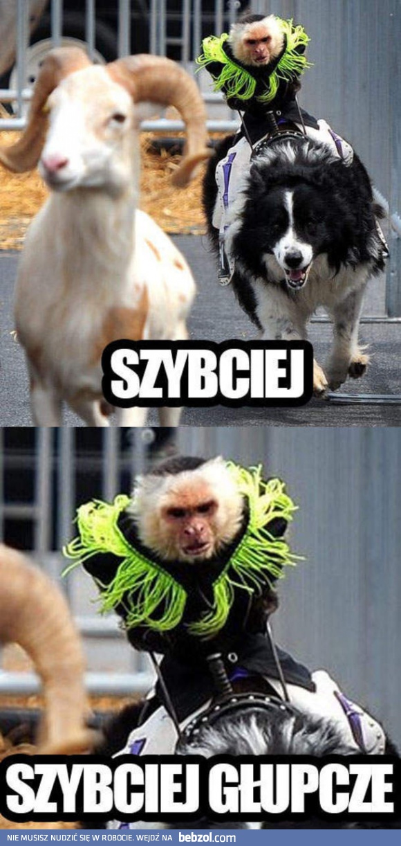 Szybciej!
