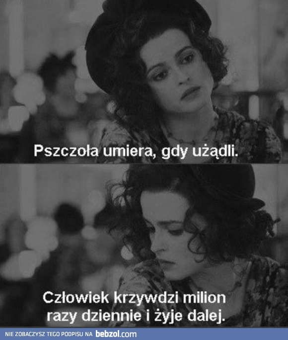 Pszczoła vs człowiek