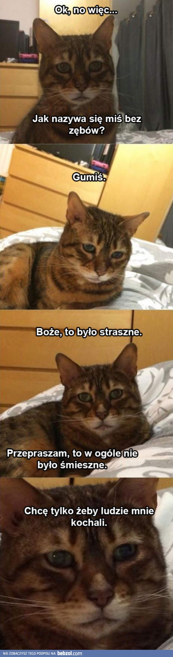 Smutny kotek i jego dowcip