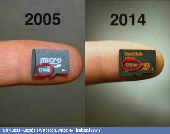 Rozwój jest widoczny